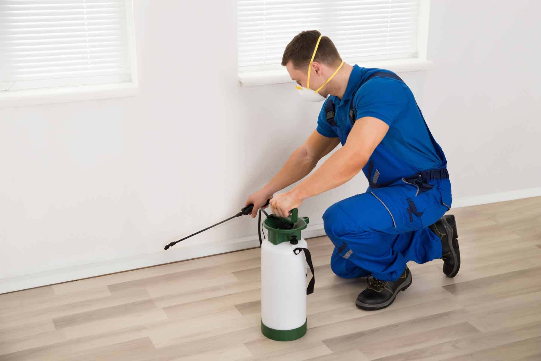 Natural Green Pest Control