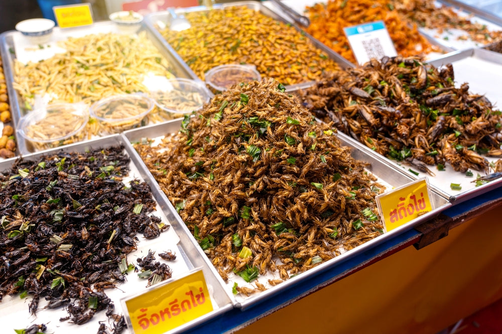 Jomtien Night Market