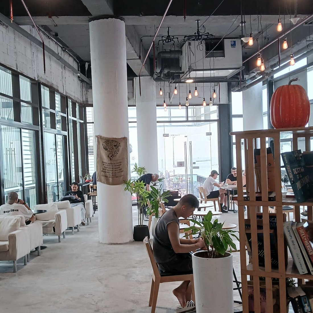 Sloths Cafe — Central Beach 5th Floor