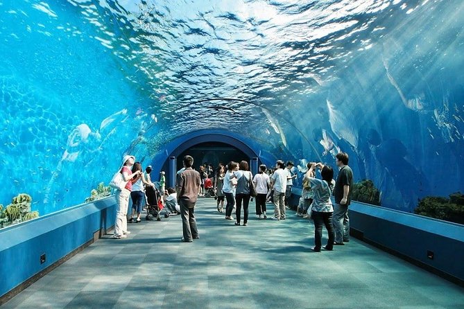 Underwater World Pattaya